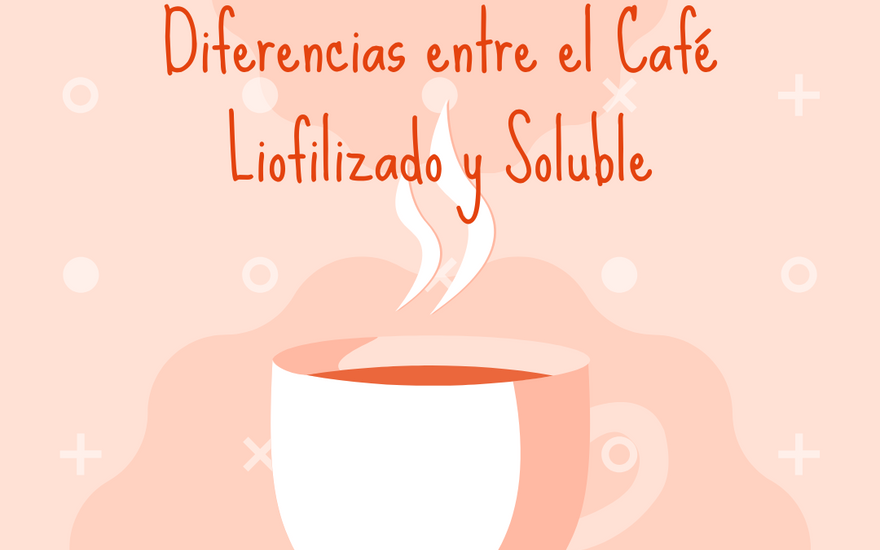 ¿Cuáles son las diferencias entre el café liofilizado y el café soluble?